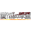 愛傻瓜の笨蛋 (attack on titan)