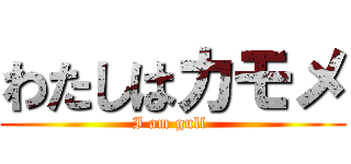 わたしはカモメ (I am gull )