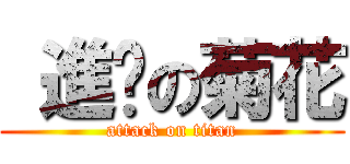  進擊の菊花 (attack on titan)