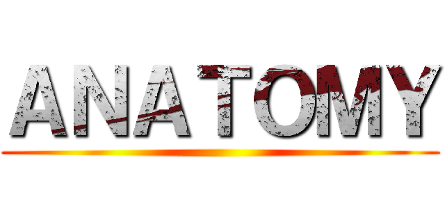 ＡＮＡＴＯＭＹ ()