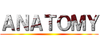 ＡＮＡＴＯＭＹ ()