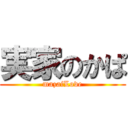 実家のかぱ (mazaiLove)