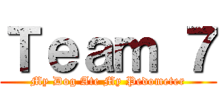Ｔｅａｍ ７ (My Dog Ate My Pedometer)