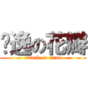 飘逸の花瓣 (attack on titan)