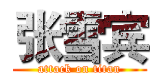 张雪宾 (attack on titan)