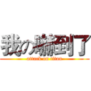 我の嚇到了 (attack on titan)