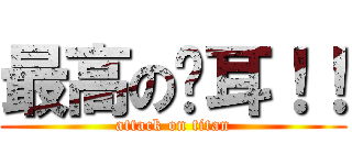 最高の貓耳！！ (attack on titan)