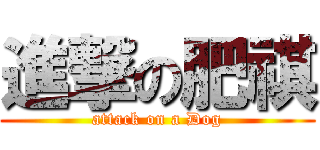進撃の肥祺 (attack on a Dog)