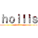 ｈｏｌｌｉｓ (hollis)