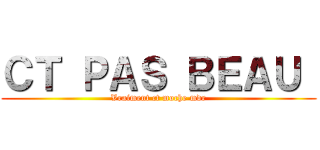 ＣＴ ＰＡＳ ＢＥＡＵ  (Vraiment ct moche mdr)