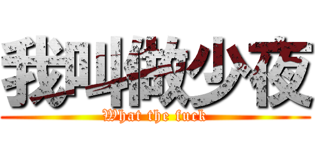 我叫做少夜 (What the fuck)