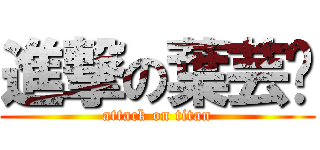 進撃の葉芸彤 (attack on titan)