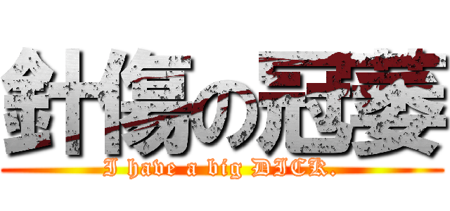 針傷の冠萎 (I have a big DICK.)