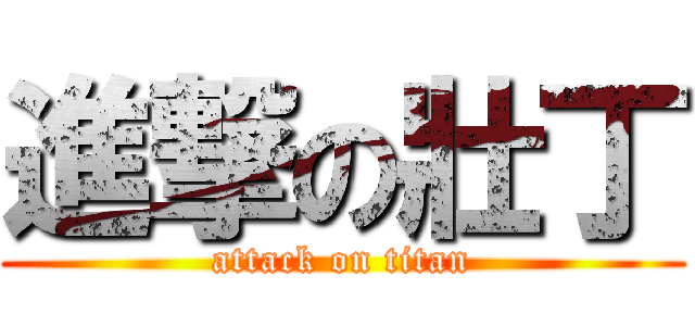 進撃の壯丁 (attack on titan)