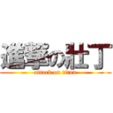 進撃の壯丁 (attack on titan)