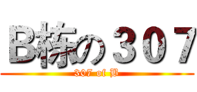 Ｂ栋の３０７ (307 of B)