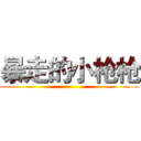 暴走的小枪枪 ()