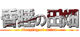 昏睡の田畑 (sleeping of urtan)