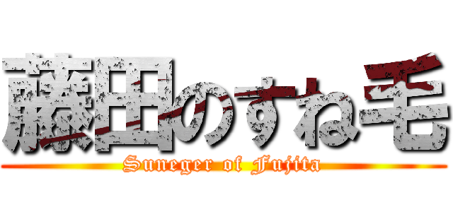 藤田のすね毛 (Suneger of Fujita)
