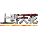 上野天花 (kawaii)