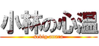小林の心温 (sekig anara)
