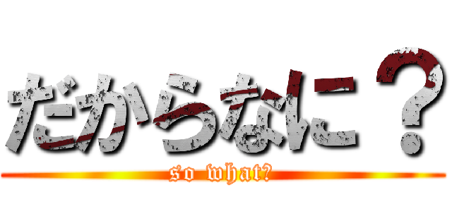 だからなに？ (so what?)