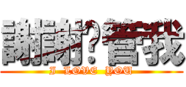 謝謝你管我 (I  LOVE  YOU)