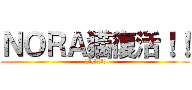ＮＯＲＡ猫復活！！ (!!!!!!!!!)