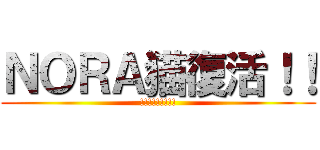 ＮＯＲＡ猫復活！！ (!!!!!!!!!)
