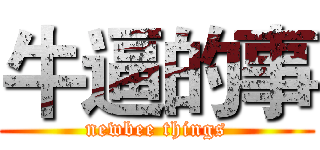 牛逼的事 (newbee things)