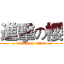 進擊の櫻 (attack on titan)