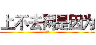 上不去网是因为 (人丑)
