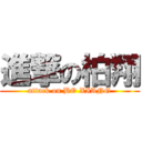 進撃の柏翔 (attack on BO XIANG)