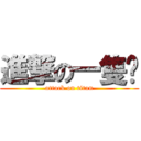 進撃の一隻貓 (attack on titan)