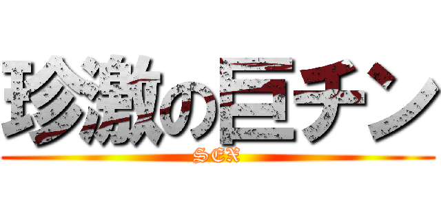 珍激の巨チン (SEX)