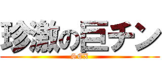 珍激の巨チン (SEX)