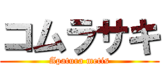 コムラサキ (Apatura metis)