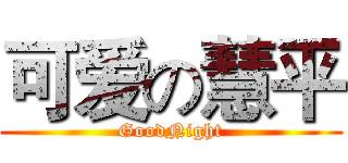 可爱の慧平 (GoodNight)