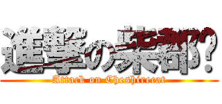 進撃の柴郡貓 (Attack on Cheshirecat)