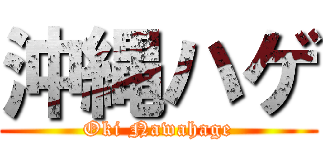 沖縄ハゲ (Oki Nawahage)