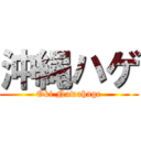 沖縄ハゲ (Oki Nawahage)