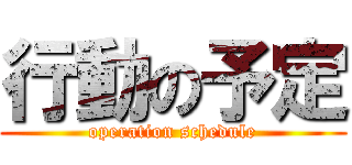 行動の予定 (operation schedule)