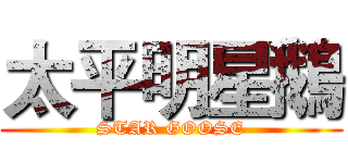 太平明星鵝 (STAR GOOSE)