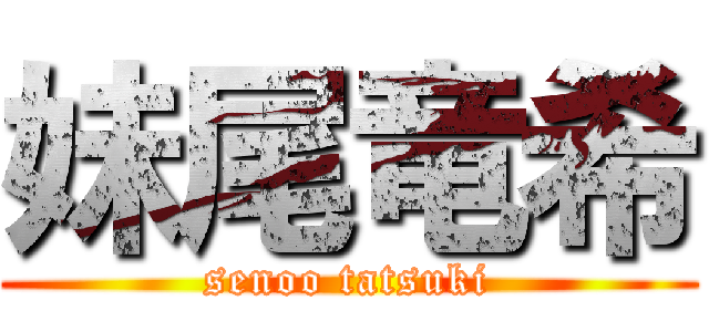 妹尾竜希 (senoo tatsuki)