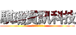騏璣資訊科技 (挖掘你的無限可能)