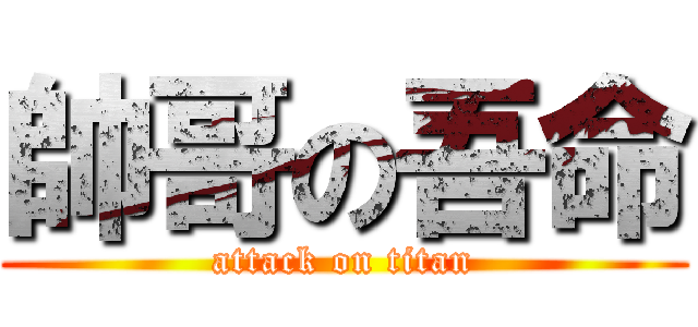 帥哥の吾命 (attack on titan)