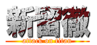 新留徹 (attack on titan)