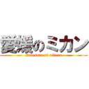 愛媛のミカン (Iniesuta ni niteru)