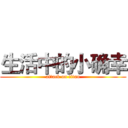生活中的小确幸 (attack on titan)