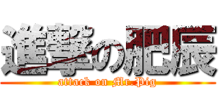 進撃の肥辰 (attack on Mr.Pig)